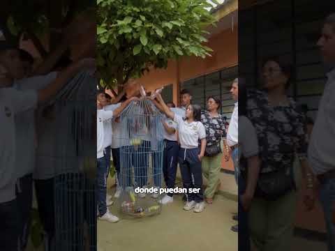 ¡Impactante Misión "Todos contra el Dengue" en San Pelayo! 🚫🦟 | Institución Educativa Santa Teresita