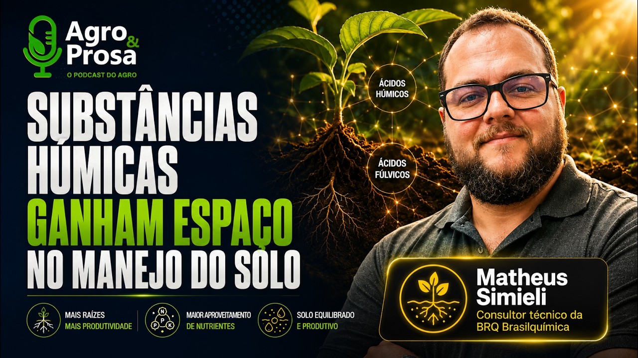 Entenda porque as substâncias húmicas melhoram a qualidade do solo