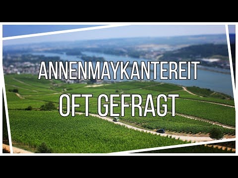 AnnenMayKantereit - Oft Gefragt (Lyrics) | German Song Translation | Deutsch Für Euch