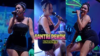 Download lagu XENA XENITA COVER SANTRI PEKOK ARGYA MUSIC YMCI mp3