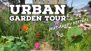 Cucumber Beetles, Hot Peppers & A Camera Upgrade | Garden Vlog 05