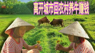 [問題] 中年之後的工作職涯