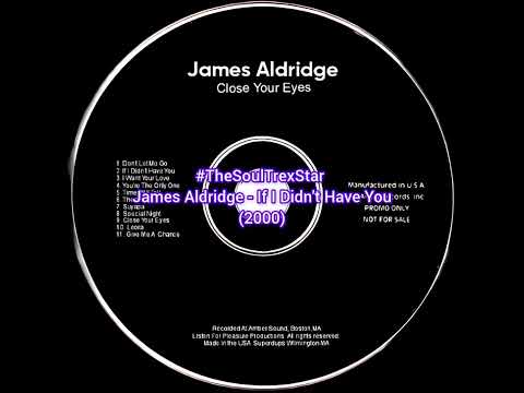 James Aldridge - If I Didn't Have You (2000) @Thechillfactor2.0