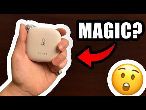 My Honest Review Of The Govee WiFi Thermometer Hygrometer (Good & Bad)