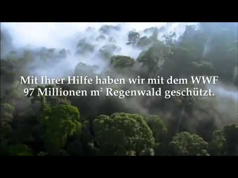 Krombacher Klimaschutz Projekt 2011 - Unterstützung des WWF
