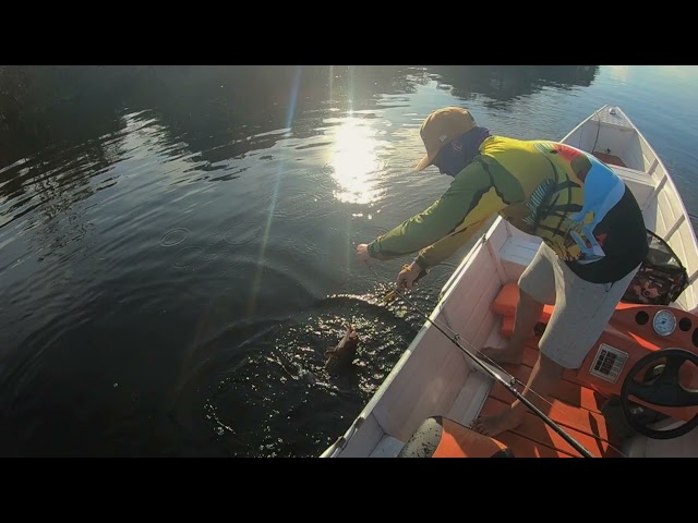 Pesca Esportiva do Tucunaré