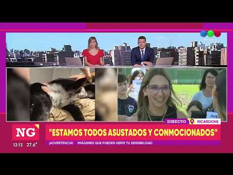 Balearon a una perra comunitaria en Ricardone – TELEFE ROSARIO