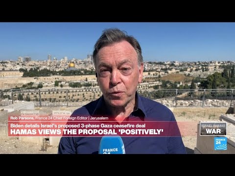 Gaza ceasefire proposal 'is potentially ground-shifting' • FRANCE 24 English
