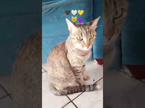 30 de março de 2025