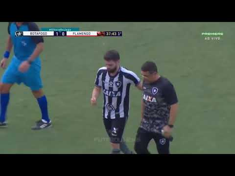 Botafogo 1 x 2 Flamengo (HD) Melhores Momentos - Carioca 2019