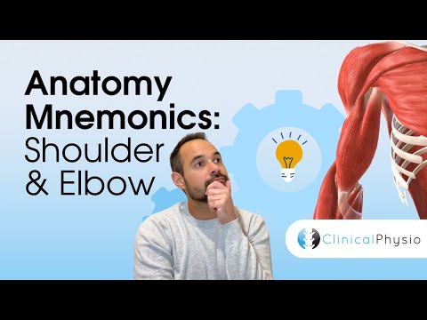 Learn Anatomy: Upper Limb Anatomy Memory Aids for Shoulder & Elbow | Anatomy Made Easy