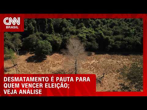 Análise: Desmatamento é pauta econômica para quem vencer a eleição | LIVE CNN