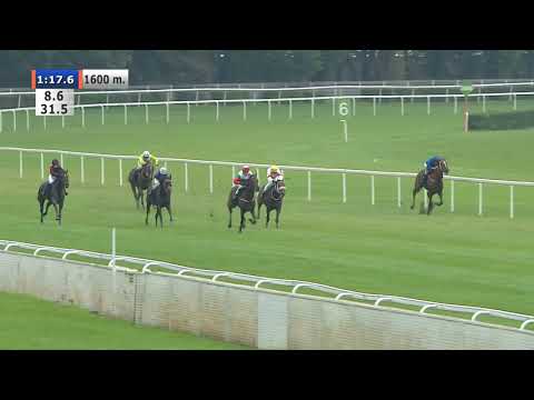 27.09.2020 (D36; G6; Tor: 4,1; 11°C)