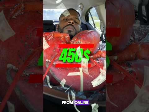 $25(2lb) Vs $450(12lb) Lobster.. #shorts #lobster