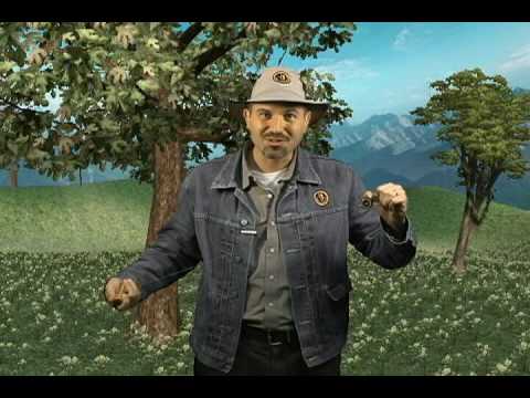 Woodknock Good Luck Charm 2010 for Drivers