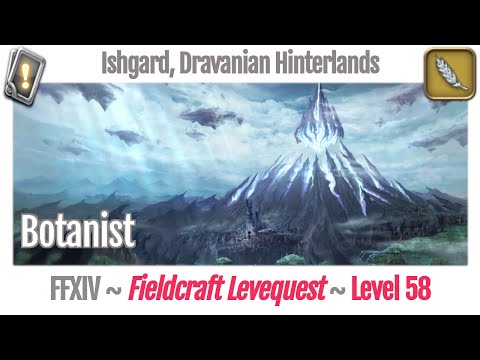 FFXIV Botanist Leves Level 58 - Ishgard, Dravanian Hinterlands - Heavensward