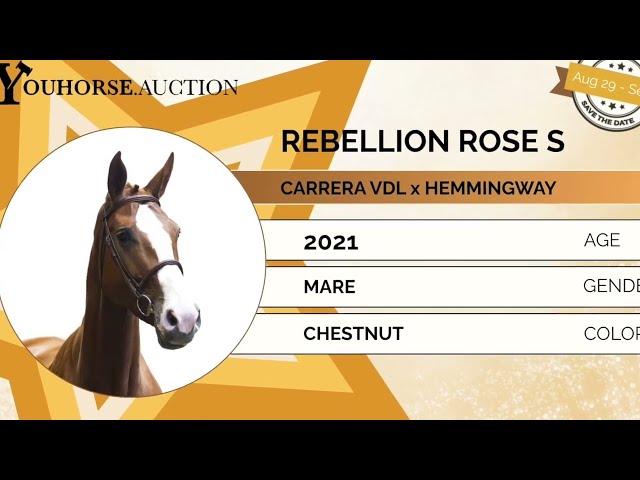 Rebellion Rose showvideo