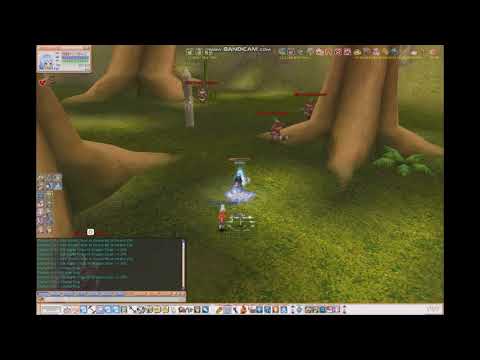 How to farm solo sw with RM [Ignite flyff]