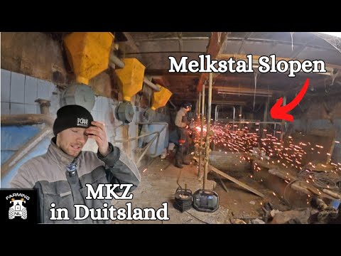 Demolish FMD milking parlor