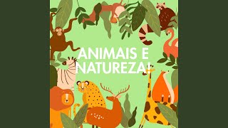 O Meu Jardim Encantado