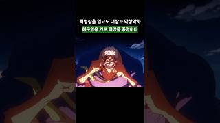 치명상을 입고도 대장과 막상막하 해군영웅 가프.. ㄷㄷ