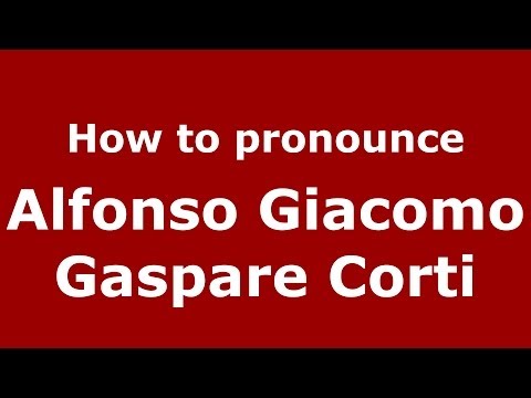 How to pronounce Alfonso Giacomo Gaspare Corti (Italy) - PronounceNames.com
