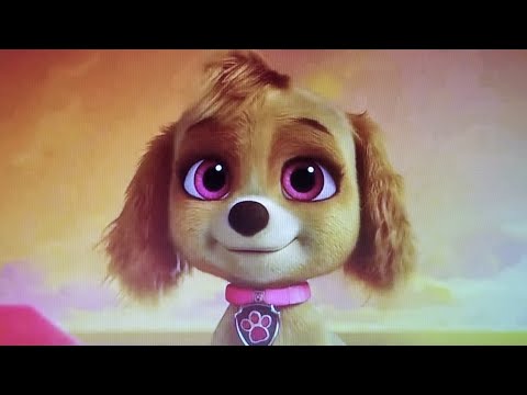 "Chase the Red-Nosed Dog" Part 5 Dog Games/Chase Meets Skye/Chase's Nose Revealed 