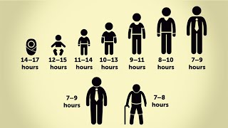 How Many Hours of Sleep Do You Need