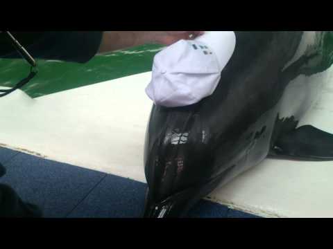 O noua zi de antrenamente :)