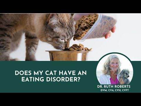 Does My Cat Have An Eating Disorder?  | Dr. Ruth Roberts, Your Pet’s Ally