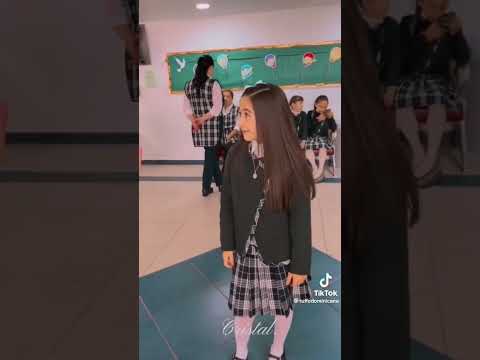 Tik Tok de Lara Campos #shorts