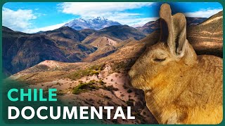 Thumbnail del capítulo