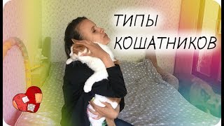Типы кошатников