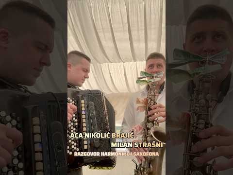 RAZGOVOR HARMONIKE I SAXOFONA / ACA NIKOLIC BRAJIC I MILAN STRASNI
