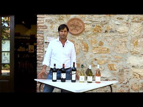 ZONATTIVA - MORIS FARMS