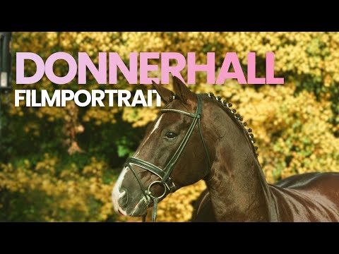 Donnerhall - a private monument