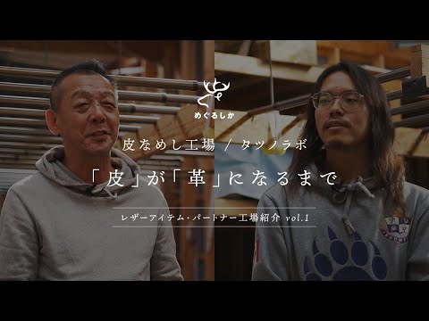 IK ペガシについて詳しく解説