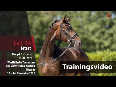 Online-Auktion Trainingsvideo Lot 14 Jetset Hengst v. Jovian - Sir Donnerhall I