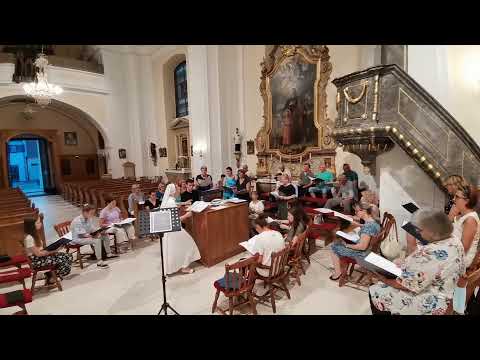 Tebe Boga hvalimo (Za zbor, orgulje i klarinet)