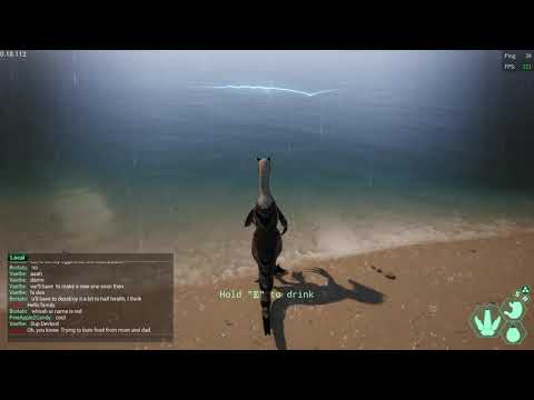 Meeting Dondi - The Isle