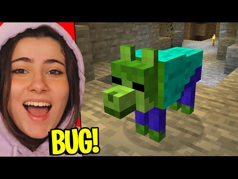 20 BUG MAI RISOLTI DI MINECRAFT