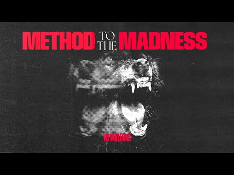 Method To The Madness - Vo Williams