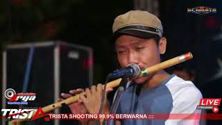 Download lagu MENGEJAR BADAI-YUNI ARYNDA-NEW PERMATA STAR-JETAK-WEDARIJAKSA mp3