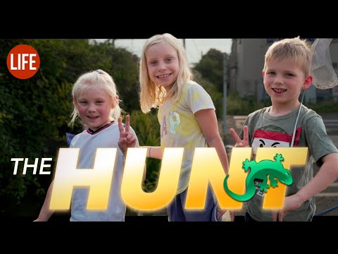 The Hunt | Life in Japan Episode 167