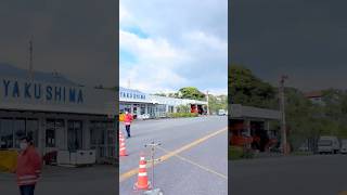 【屋久島】4月におすすめの二泊三日旅！