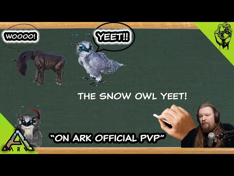 How To Use The Snow Owl To Yeet A Racer On Ark Official PVP