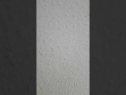 download lagu mp3 mp4 Capital Bra Berlin Lebt Zippyshare, download mp3 Capital Bra Berlin Lebt Zippyshare free download, download mp3 Capital Bra Berlin Lebt Zippyshare