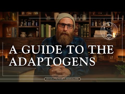 Unlocking the Power of Adaptogenic Herbs | Vibepedia