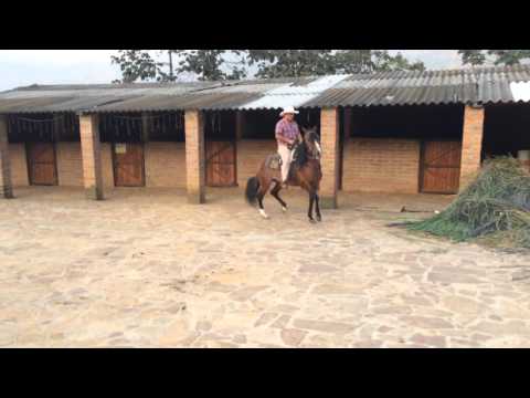 Anfitrión de la Perla (Hijo de Monarca en una Hija del Rey del destello)