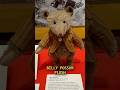 Billy Possum—The Teddy Bear’s Forgotten Rival...